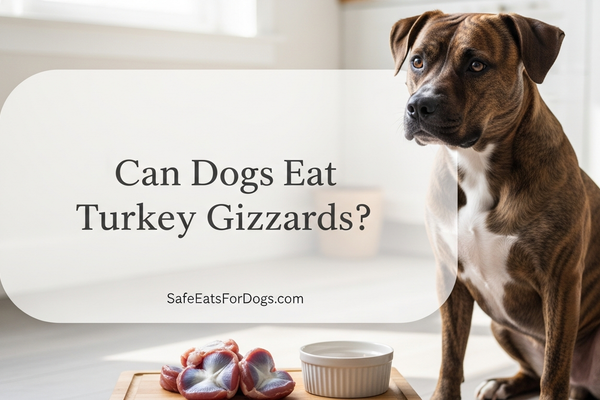 Can Dogs Eat Turkey Gizzards? Safety, Prep, & Benefits